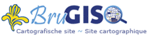 logo BruGIS